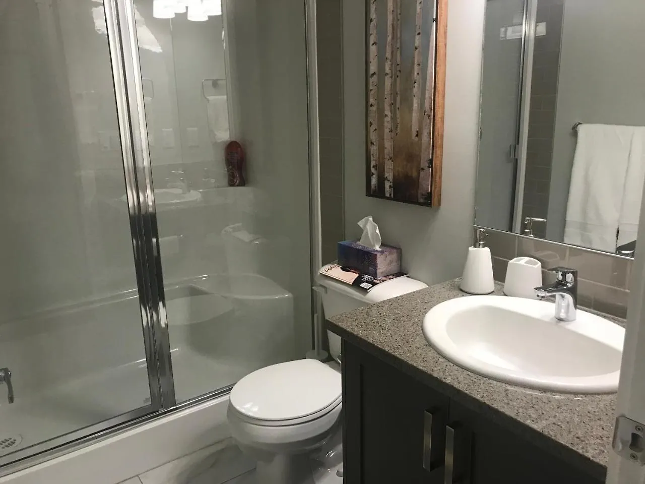 Home Sweet Condo Calgary Apartment
